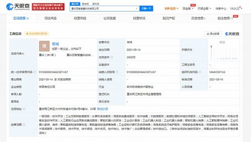 投資重慶成立智慧科技公司，注冊資本2000萬，聚焦計算機系統服務